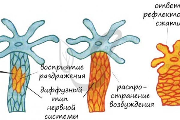 Омг сайт зеркало рабочее