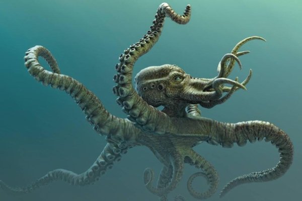 Кракен зеркало ссылка kraken